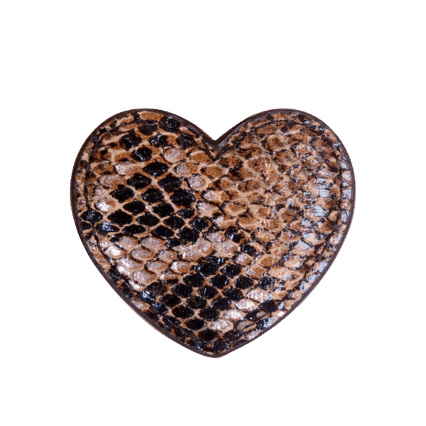 Coeur serpent multicolore