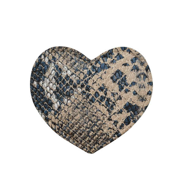 Coeur serpent multicolore