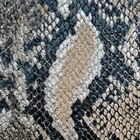 Rabat - Serpent multicolore (en précommande)