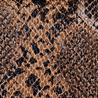 Flap - Multicolor Snake